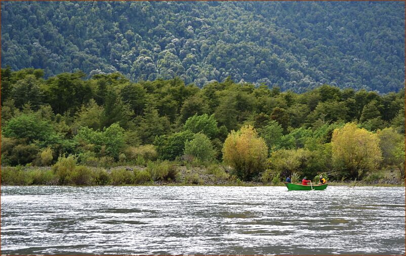 Puerto Montt - river fishing 1